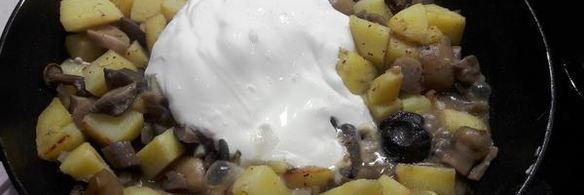 грибы в сметане с картофелем