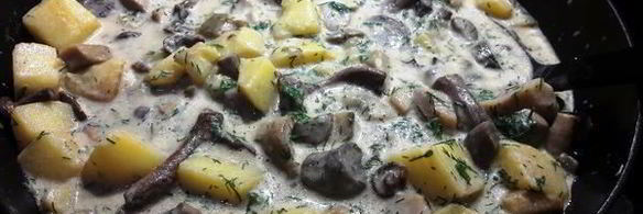 грибы в сметане с картофелем