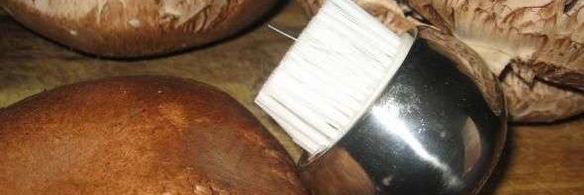 грибы запеченные с сыром