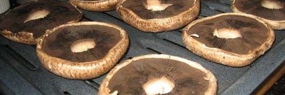 грибы запеченные с сыром