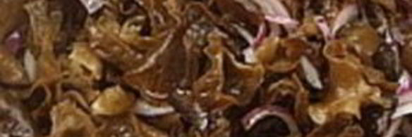 китайские древесные грибы муэр