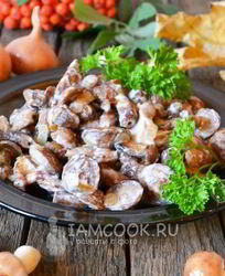 Маслята жареные в сметане