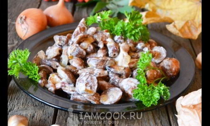 Рецепт маслят жареных в сметане