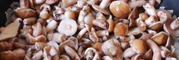 маслята жареные в сметане