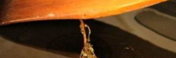 мидии и шампиньоны в сливках