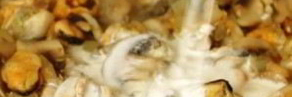 мидии и шампиньоны в сливках