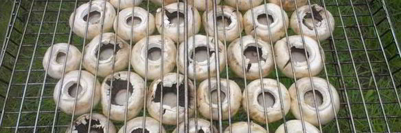 шампиньоны на мангале