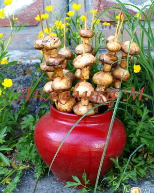 Шампиньоны на шпажках на мангале