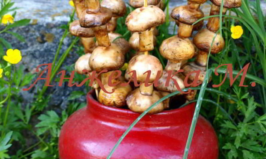 Рецепт шампиньонов на шпажках на мангале