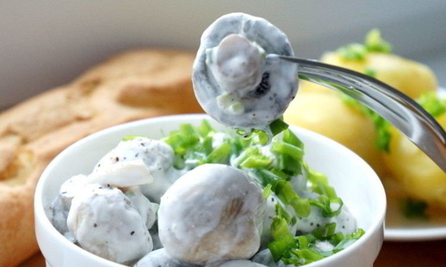 Рецепт соленых шампиньонов