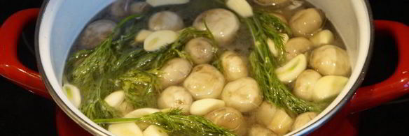 соленые шампиньоны