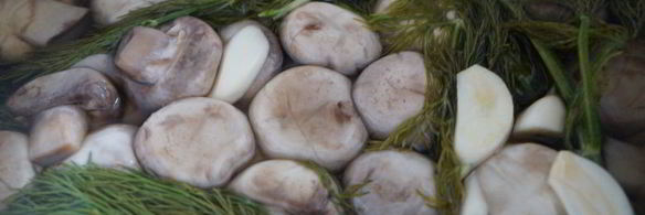 соленые шампиньоны