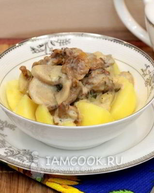 Тушеные грибы в мультиварке