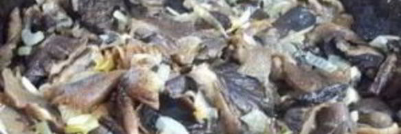 замороженные жареные грибы