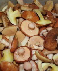 Запеченные маслята