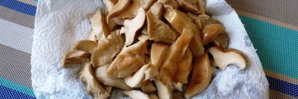 жареные грузди с картошкой