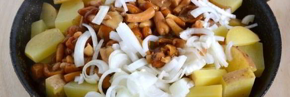 жареные опята с картошкой