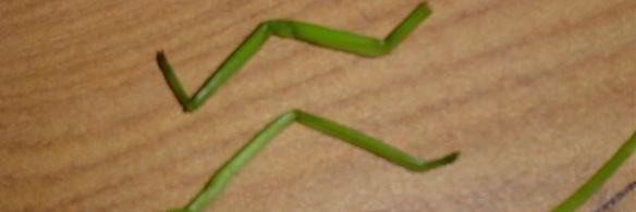 картофельное пюре паучки