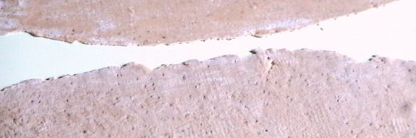 клубничная лапша