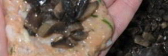 рыбные котлеты с грибами