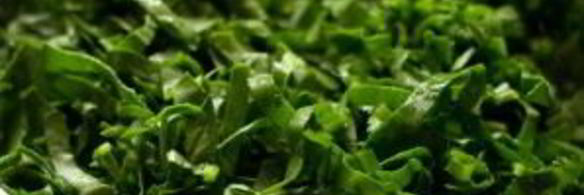 грибная лазанья