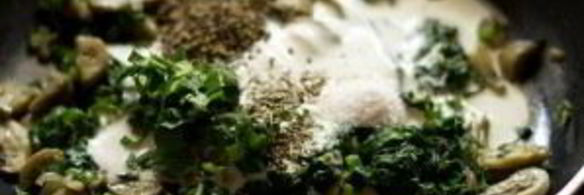 грибная лазанья