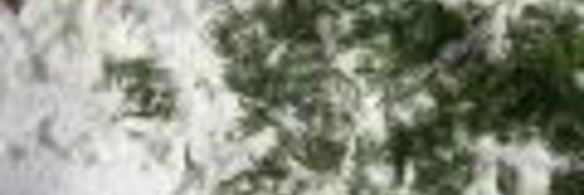 лазанья кабачковая