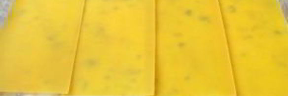 лазанья с грибами и куриным филе