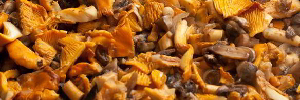 лазанья с грибами