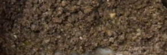 вкуснейшая лазанья