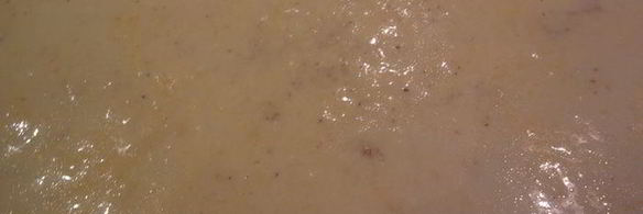 запеченная овощная лазанья с соусом бешамель