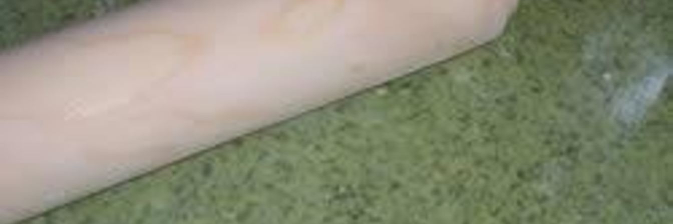 Зеленая лазанья