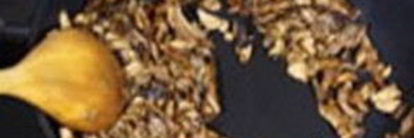 макароны-гнезда с грибным соусом