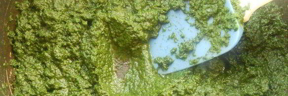 паста ракушки со шпинатом, рикоттой и кедровыми орешками