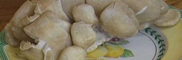 паста с грибами, цыпленком и сливочным соусом