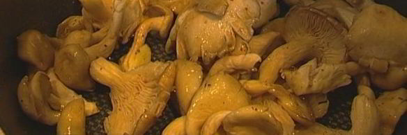 паста с грибами, цыпленком и сливочным соусом