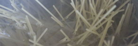 спагетти с лесными грибами и мясными копченостями в сырном соусе