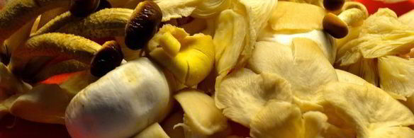 морковные клецки с грибами