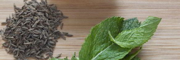 баранина с тмином и мятой