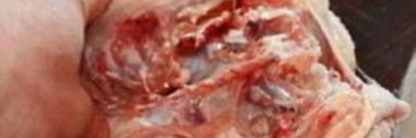 фаршированная курица без костей