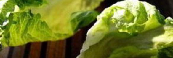 индейка и салат-латук