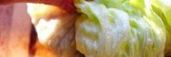 индейка и салат-латук