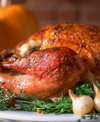 Индейка на День благодарения