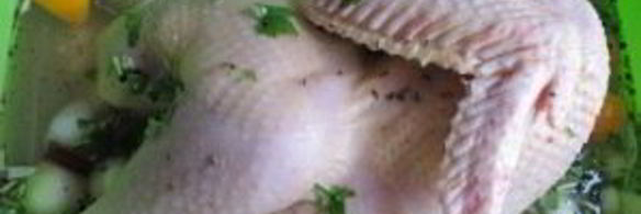 индейка на день благодарения