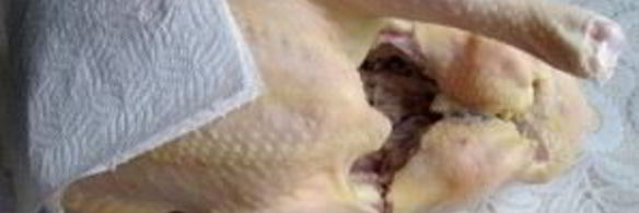 индейка на день благодарения