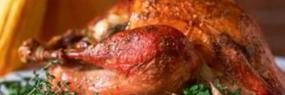 индейка на день благодарения