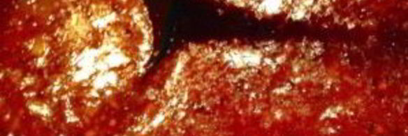 свинина в кисло-сладком соусе в духовке