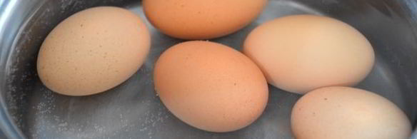 телятина под соусом из тунца