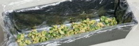 террин из свиной рульки