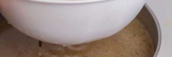 террин из свиной рульки